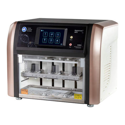 TAN Bead Maelstrom 4810 user manual