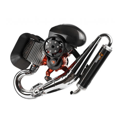 Vittorazi Motors Moster 185 Factory R User manual