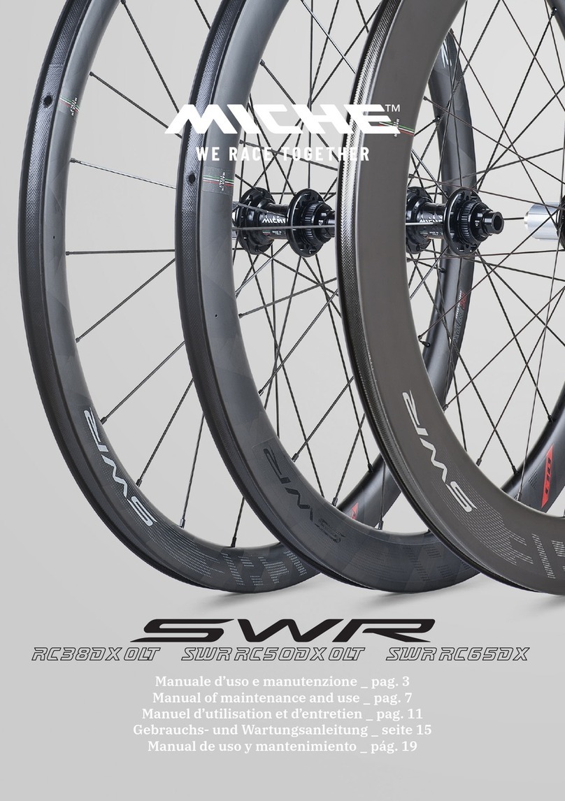 Miche SWR RC38DX OLT User guide