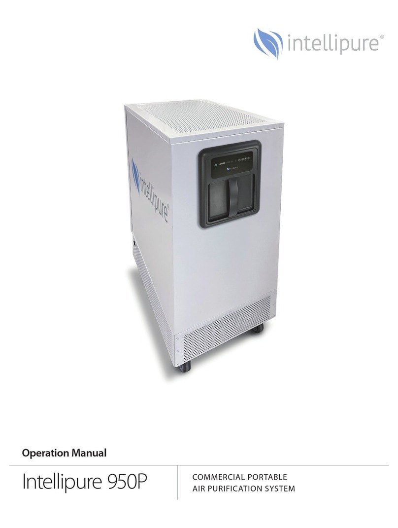 Intellipure 950P User manual
