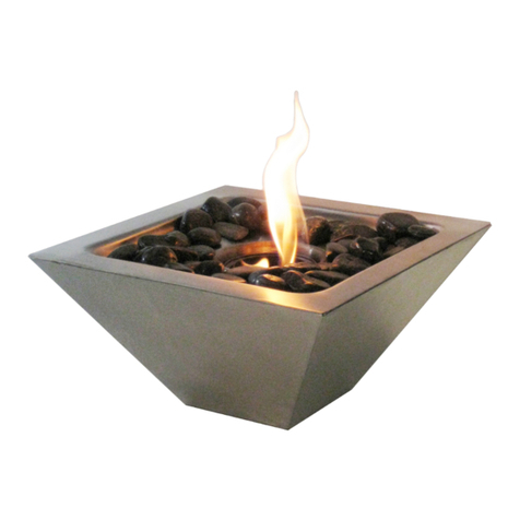 Anywhere Fireplace Empire User manual