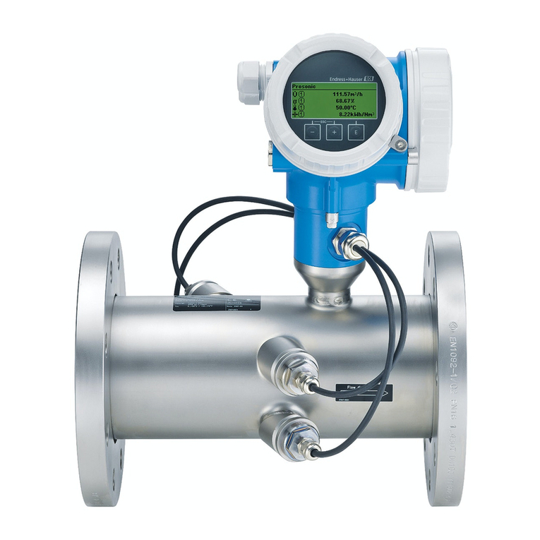 Endress+Hauser Proline Prosonic Flow B 200 User manual