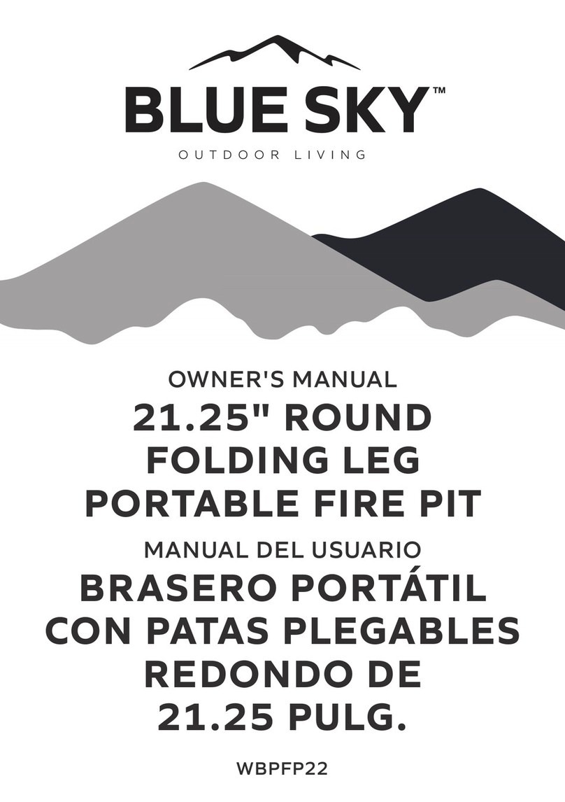 Bluesky WBPFP22 owner's manual