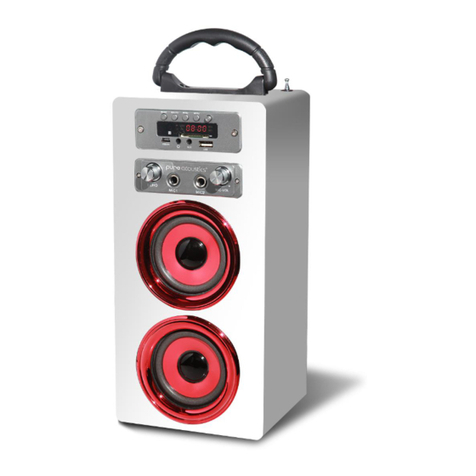 Pure Acoustics MCP-20BT User and safety guidelines