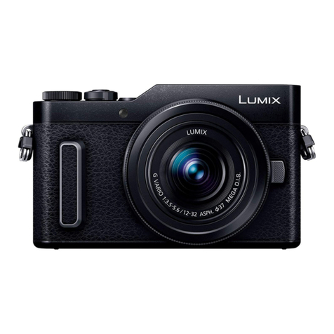 Panasonic LUMIX DC-GF10K Technical specifications
