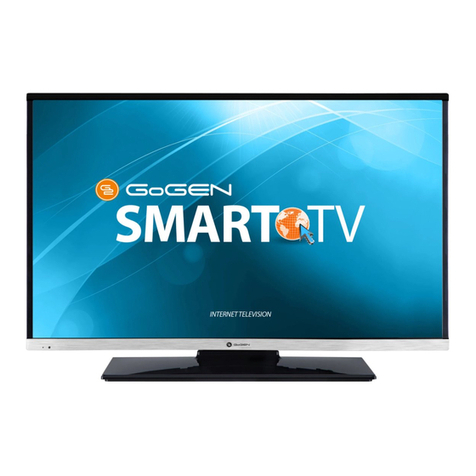 Gogen TVF22R384STWEB User manual