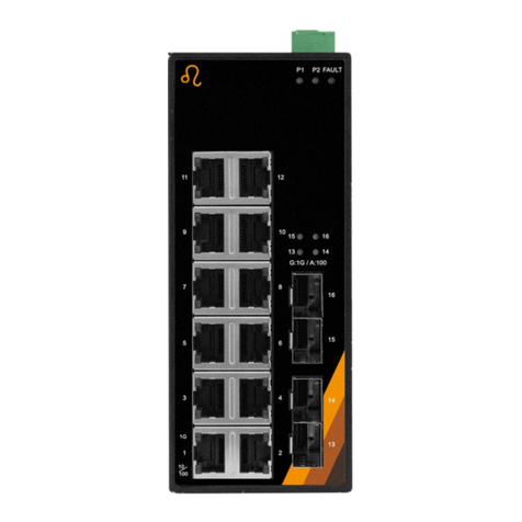 Leonton EG2-1604-SFP Series User manual