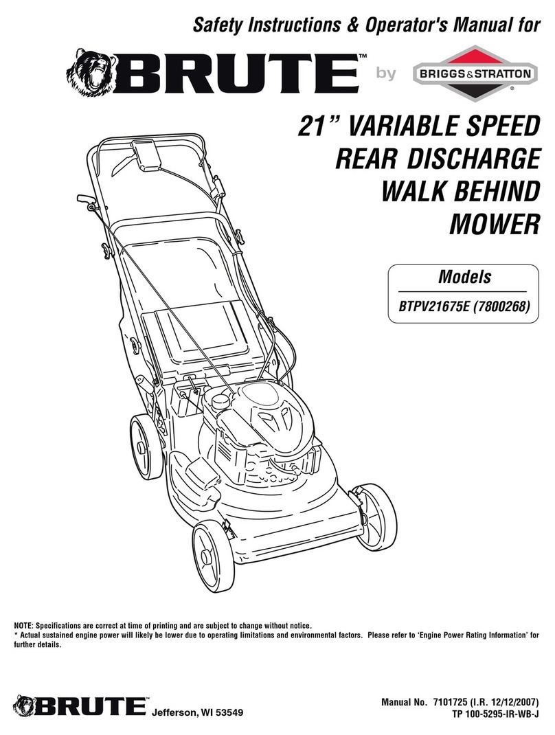 Briggs & Stratton BRUTE BTPV21675E User manual