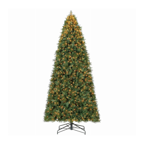 Home Accents Holiday TG76M3W89M00 User manual