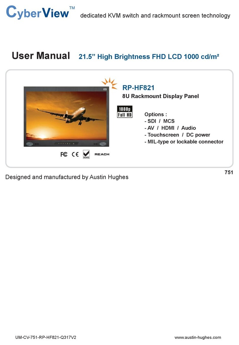 Austin Hughes CyberView RP-HF821 User manual
