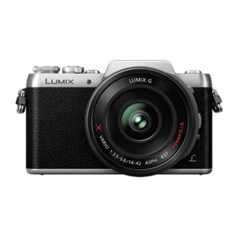 Panasonic LUMIX DMC-GF8KGN Technical specifications