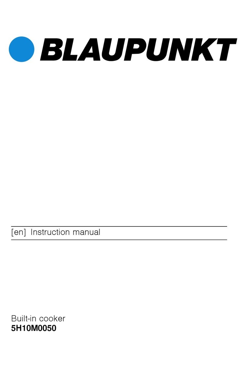 Blaupunkt 5H10M0050 User manual