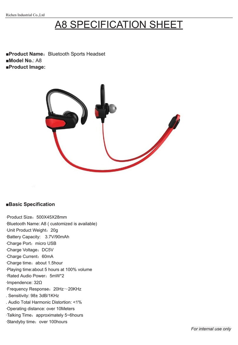 Richen A8 manual