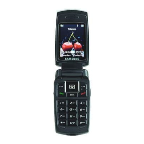 Samsung SCH-W531 user guide