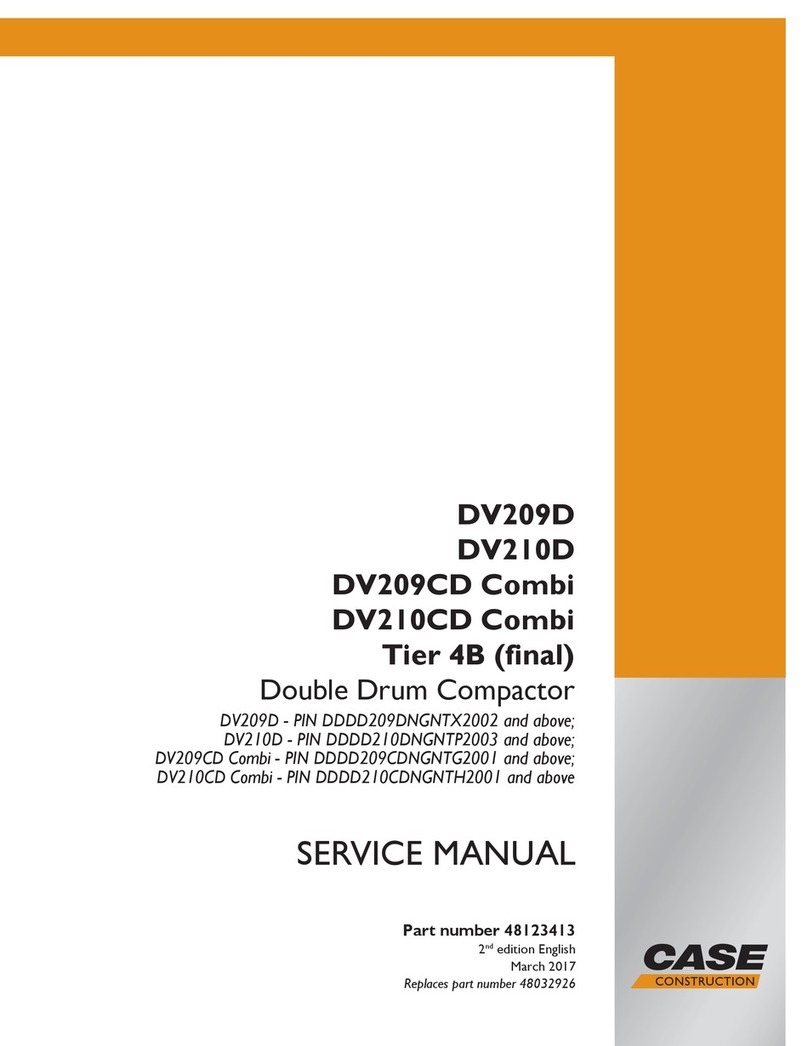 Case DV209D Service manual