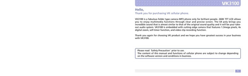 Verykool VK3100 User manual