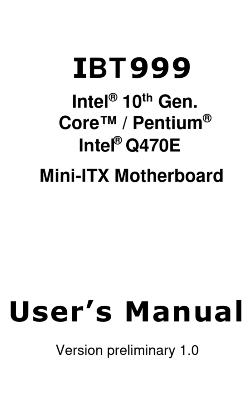 IBT Technologies IBT999 user manual