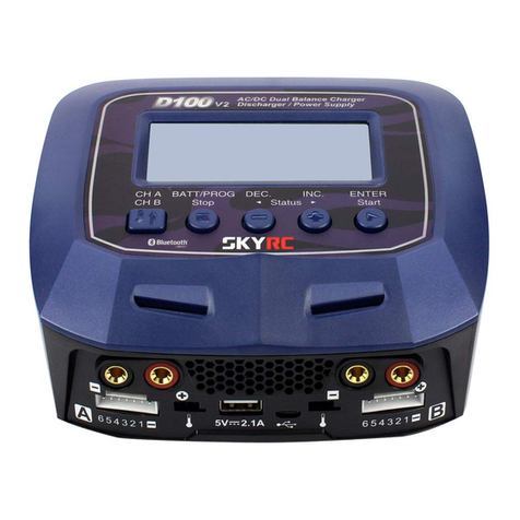 Skyrc D100 V2 instruction manual