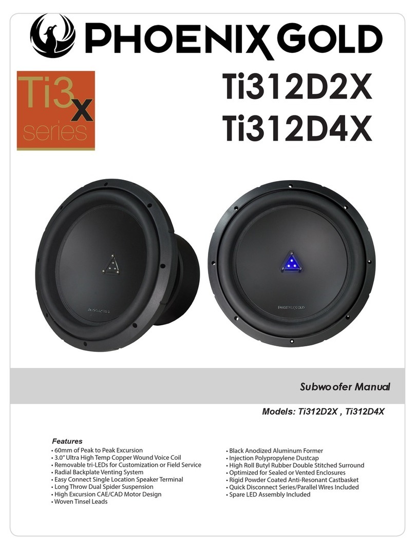 Phoenix Gold Ti312D2X manual