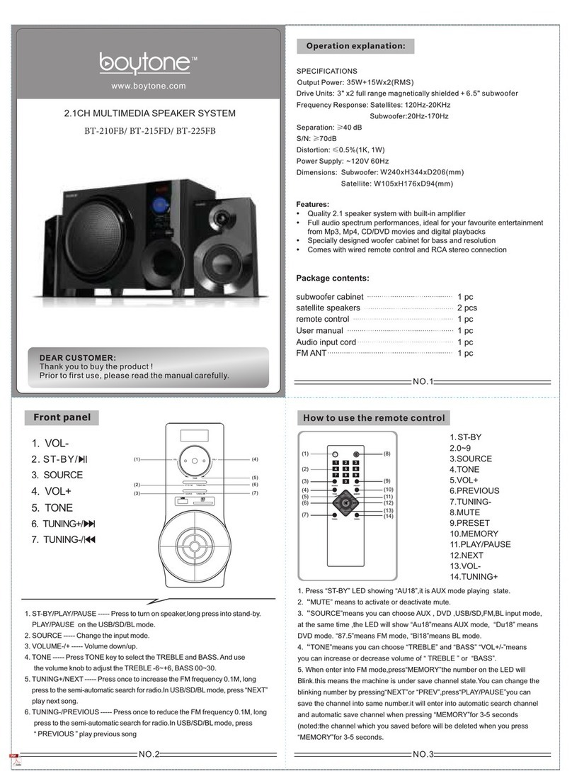 boytone BT-210FB quick start guide