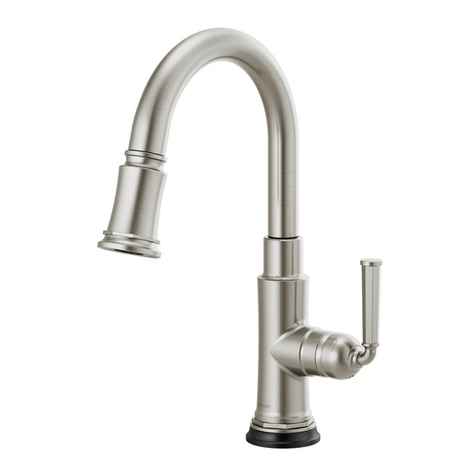 Brizo ROOK RP100487 manual