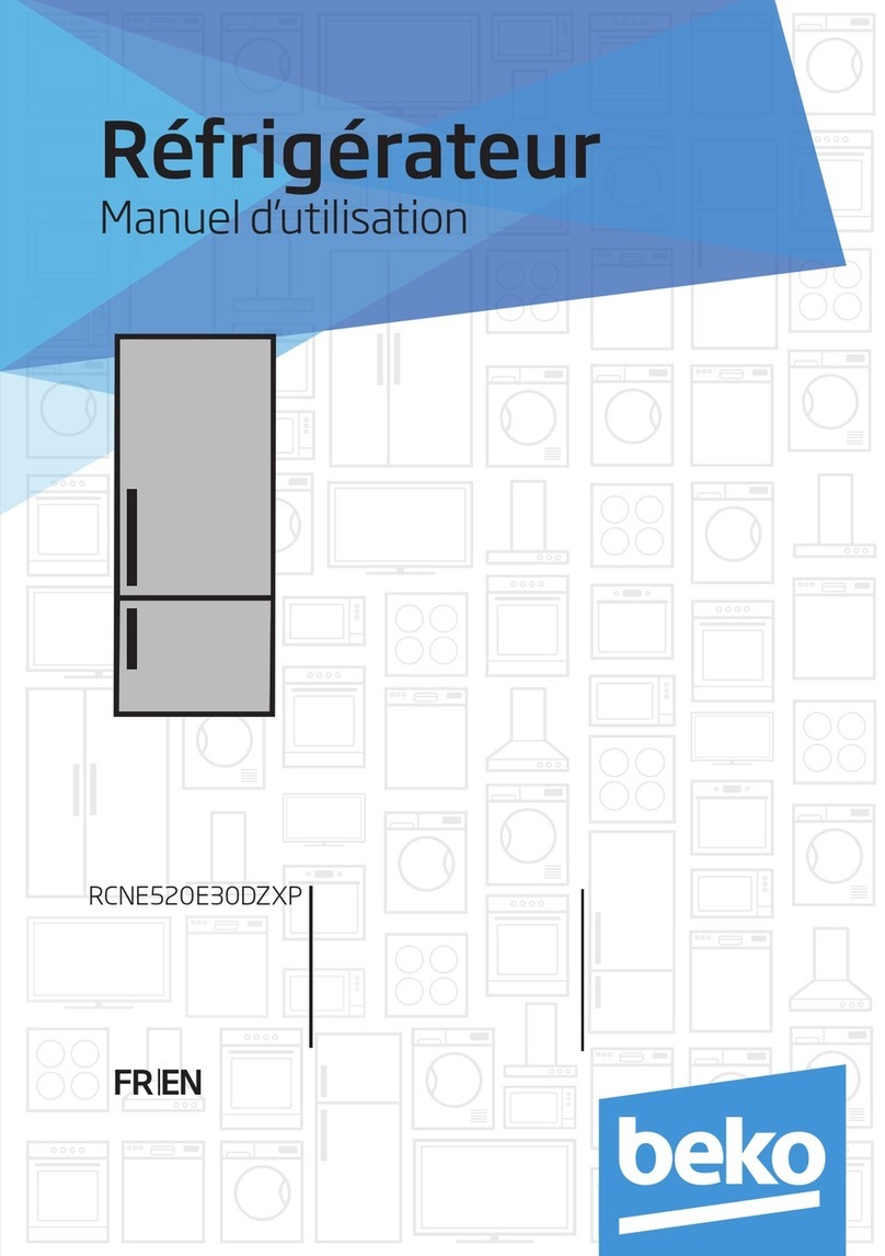 Beko RCNE520E30DZXP User manual