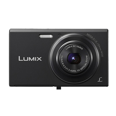Panasonic DMC-FH10P User manual