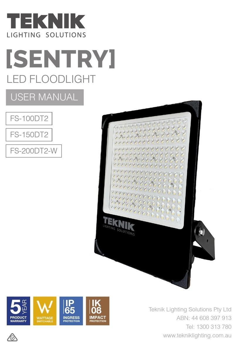 Teknik FS-100DT2 user manual