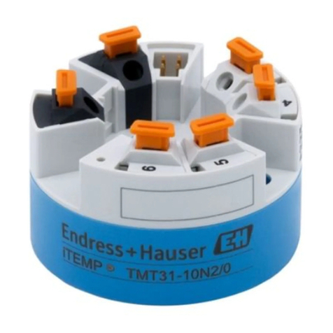 Endress+Hauser iTEMP TMT31 operating instructions