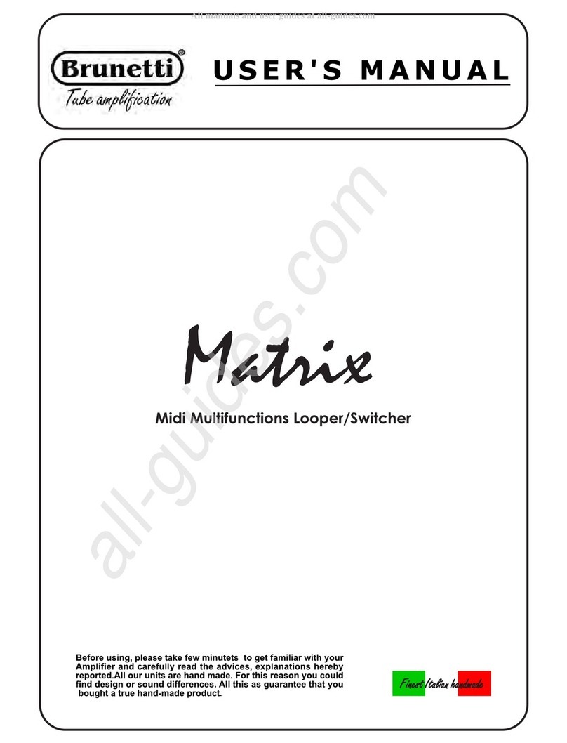 Brunetti Matrix User manual
