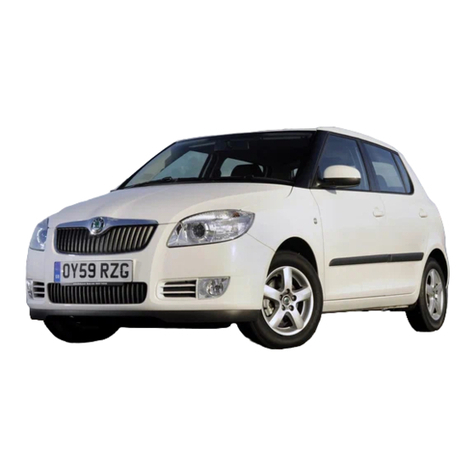 Skoda Fabia II 2007 Instruction manual