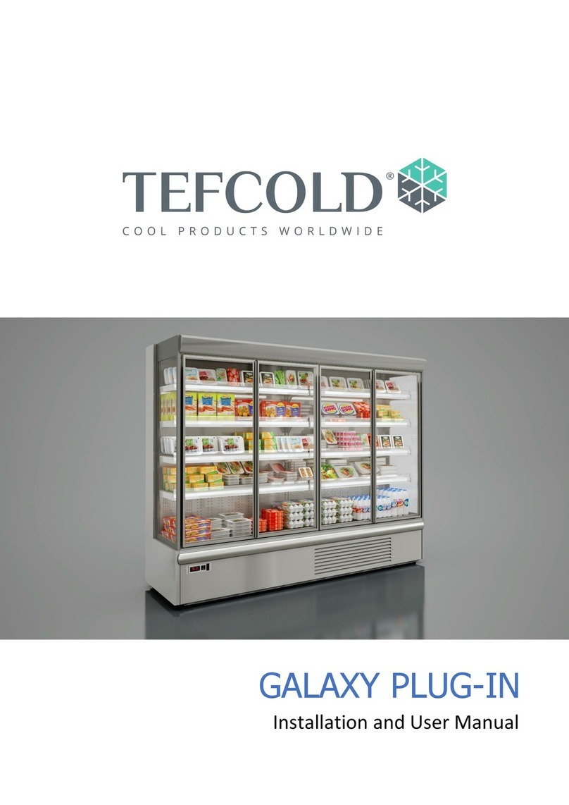 Tefcold GALAXY PLUG-IN User manual