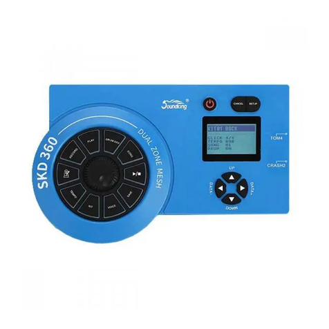 Soundking SKD360 owner's guide