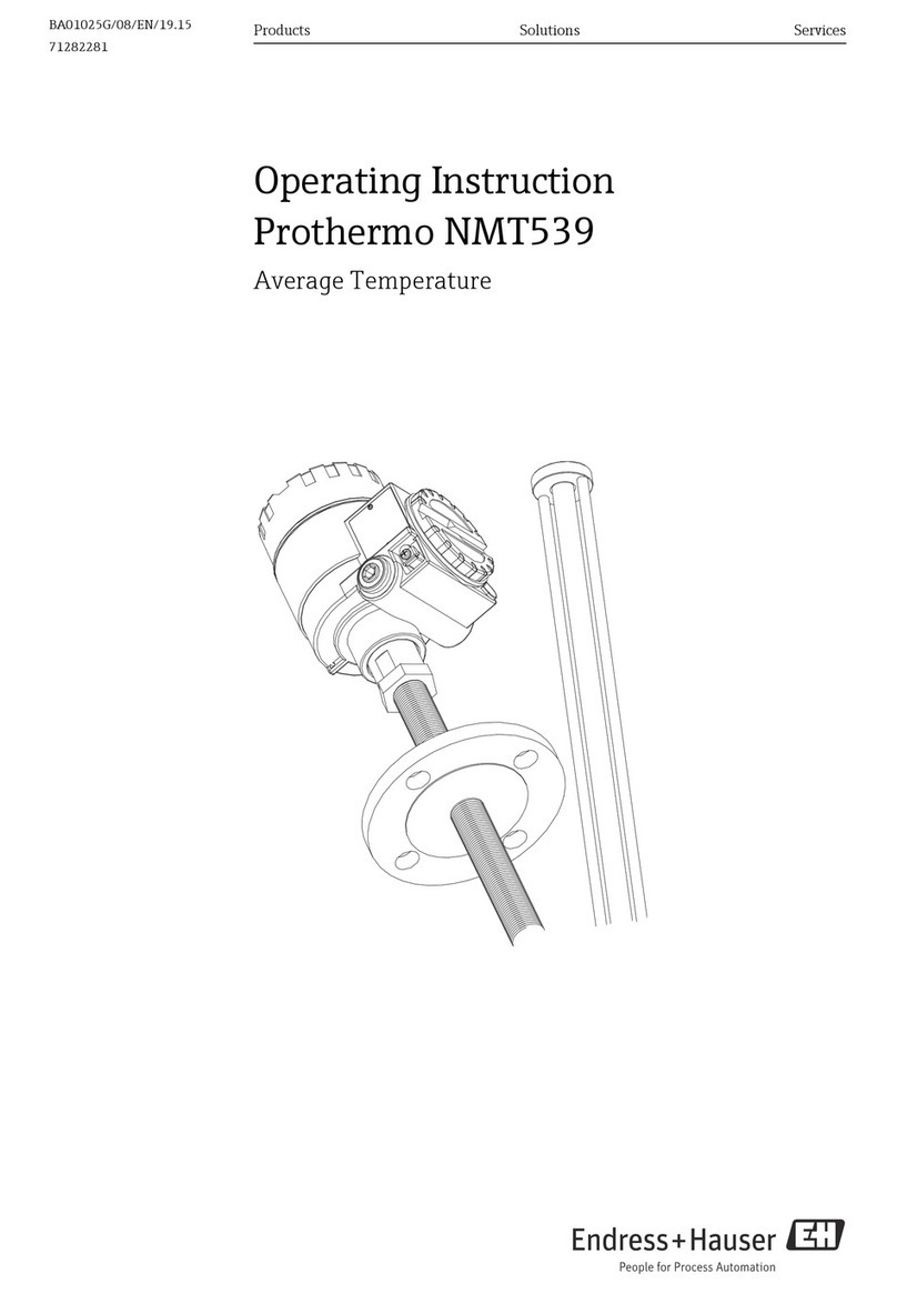 Endress+Hauser Prothermo NMT 539 Operating	 instruction