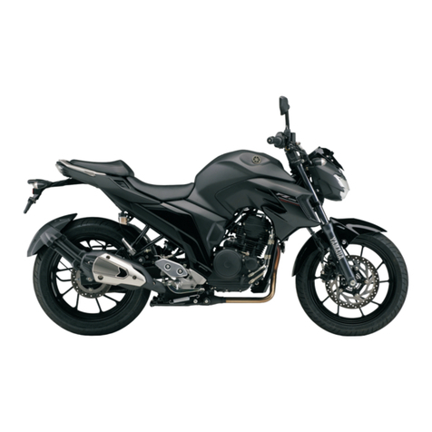 Yamaha FZ 25 2021 Supplementary service manual