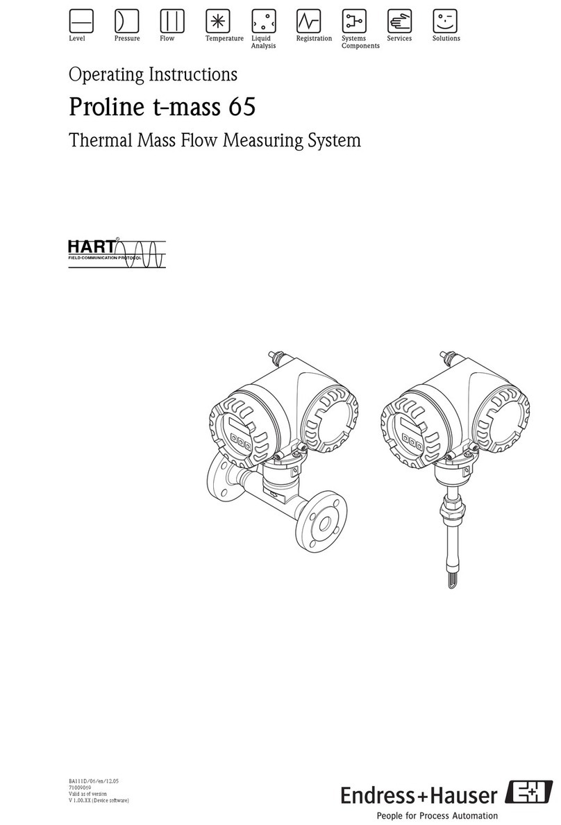 Endress+Hauser Proline t-mass 65 User manual