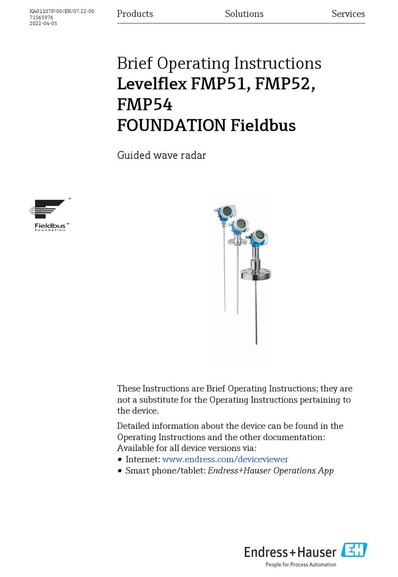 Endress+Hauser FOUNDATION Fieldbus Levelflex FMP51 Technical specifications