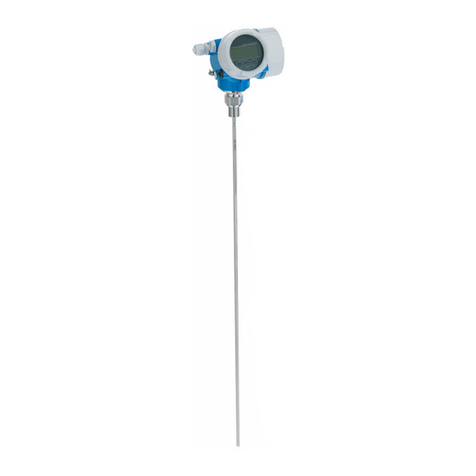 Endress+Hauser PROFIBUS PA Levelflex FMP51 Technical specifications