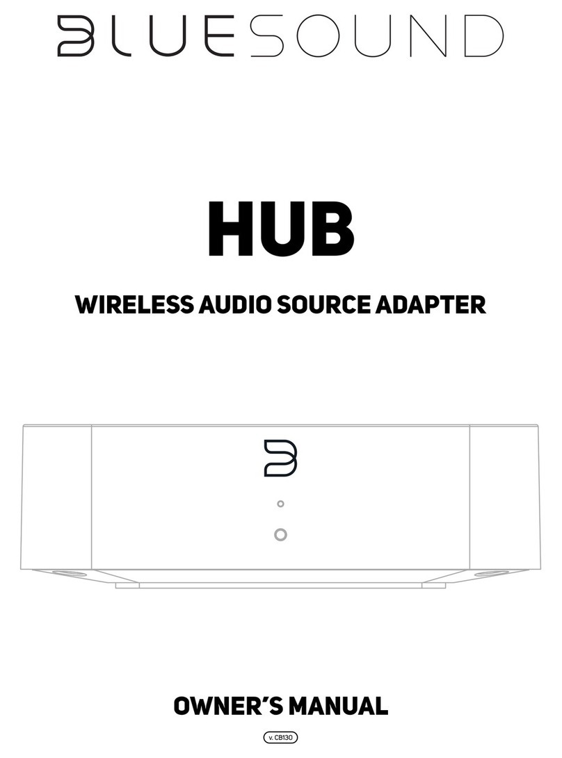Bluesound HUB User manual