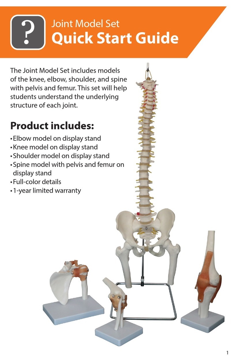 Reality Works Joint Model Set quick start guide