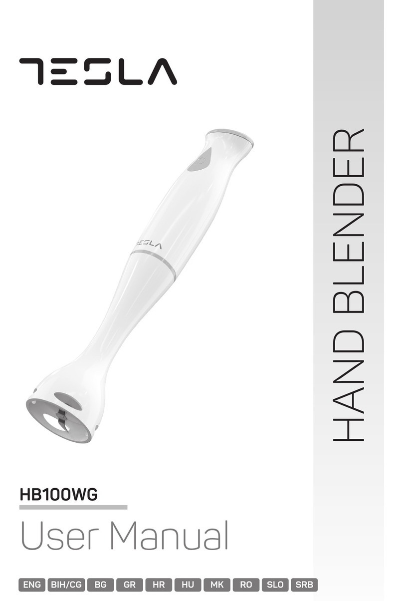 Tesla HB100WG user manual