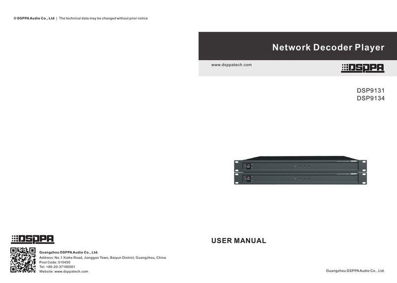 DSPPA DSP9131 User manual