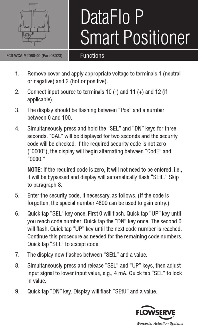 Flowserve DataFlo P User manual