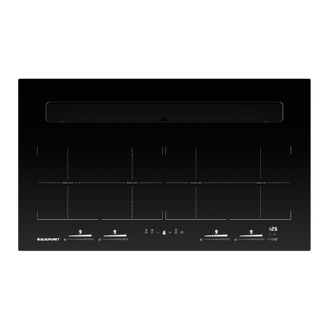 Blaupunkt 5IX99291 User manual