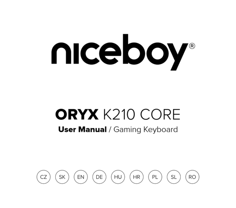 Niceboy ORYX K210 CORE User manual Niceboy ORYX K210 CORE User manual