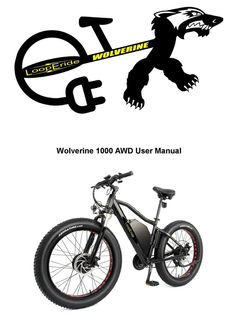 Wolverine 1000 AWD user manual