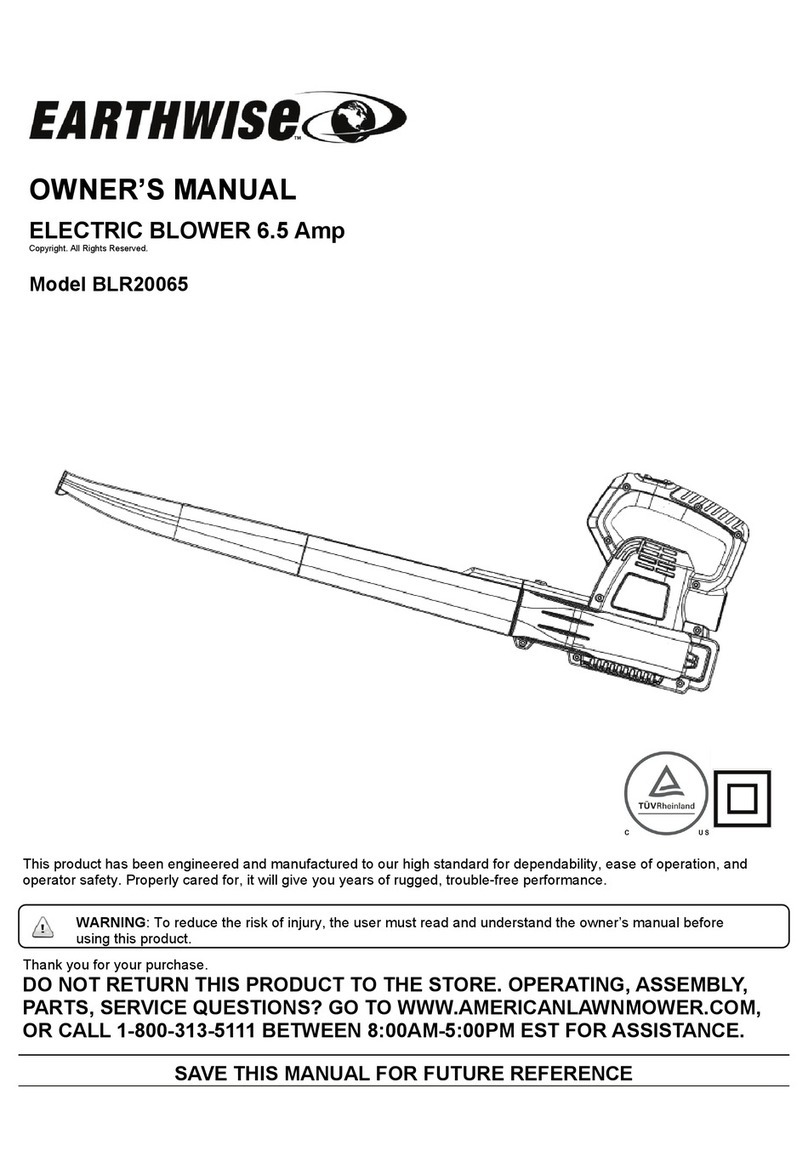 EarthWise BLR20065 owner's manual EarthWise BLR20065 owner's manual