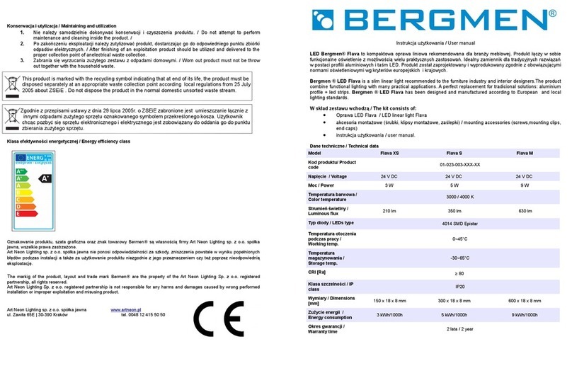 Bergmen Flava XS user manual