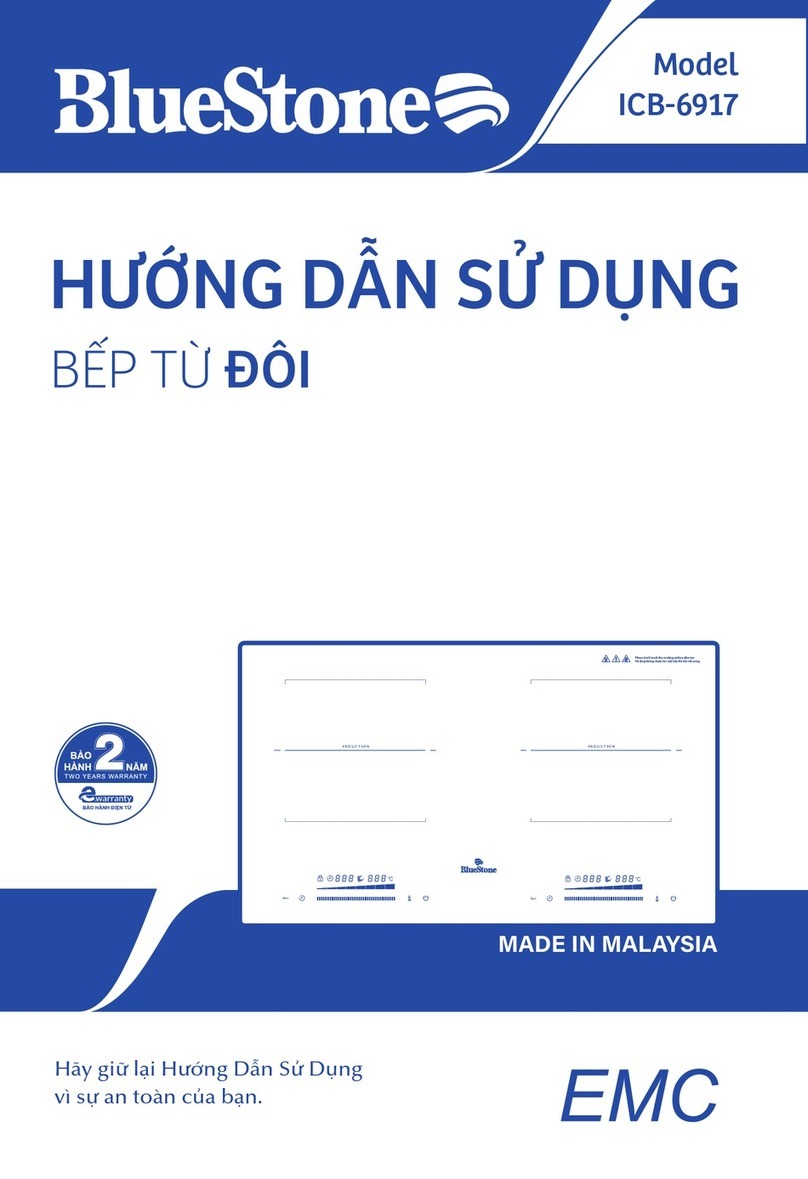 BLUE STONE ICB-6917 user manual