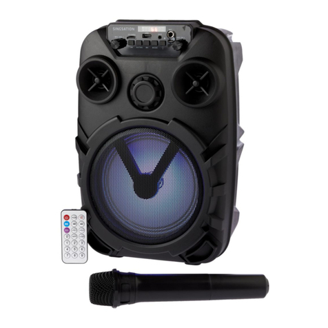 Singsation ALLEGRO User manual